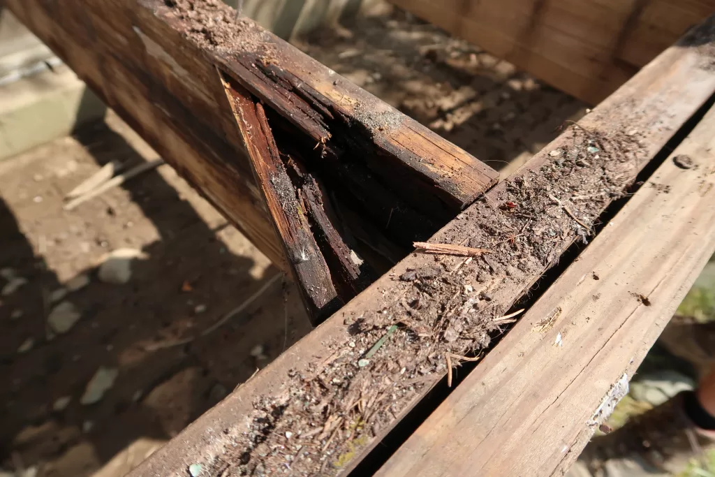 Deck Repair